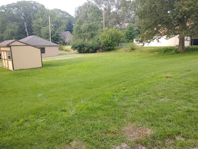 Lawn Mowing