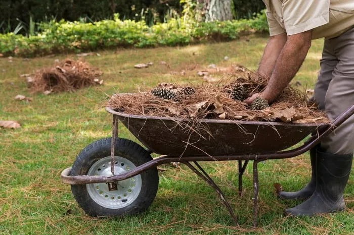 Debris Removal Debris Removal