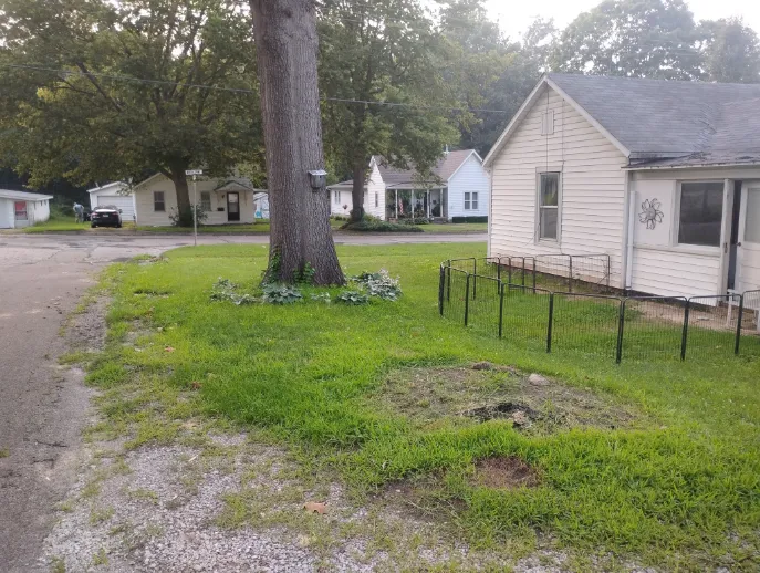 Lawn Mowing