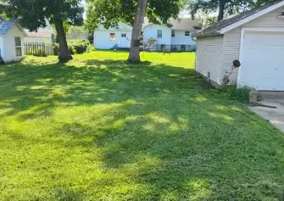 Garden Landscaping