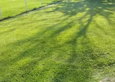 Landscape Services