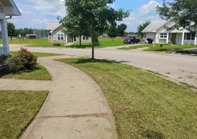 Landscaping Contractor