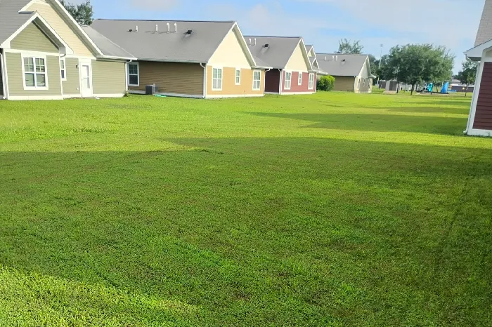 Lawn Care Lawn Care