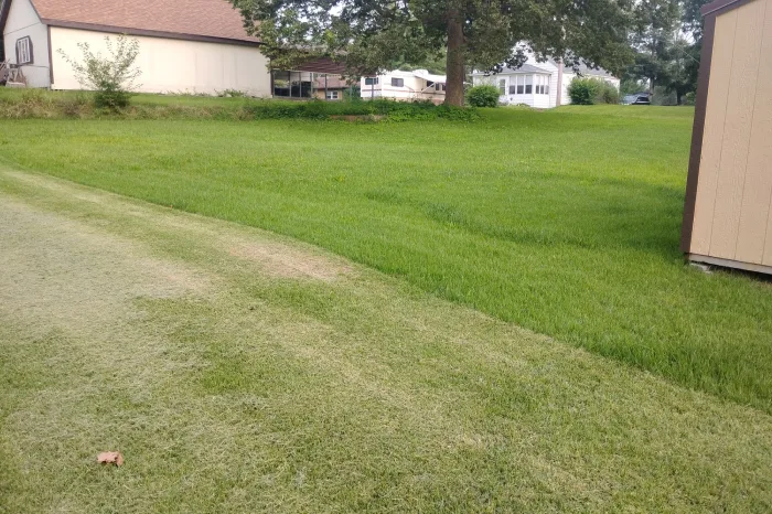 Lawn Maintenance Lawn Maintenance