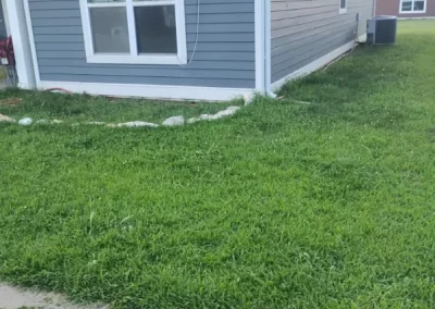Lawn Mowing (1)