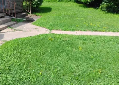 Lawn Mowing (10)