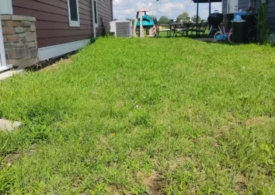 Lawn Mowing (11)