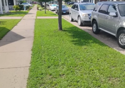 Lawn Mowing (12)