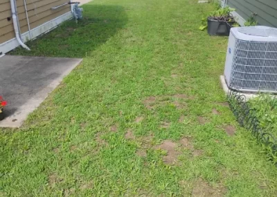 Lawn Mowing (13)