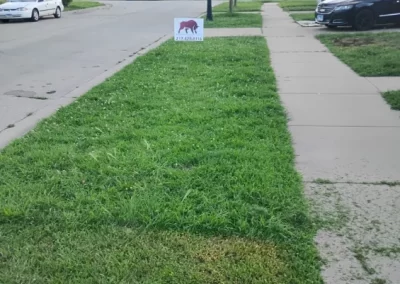 Lawn Mowing (2)