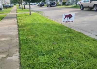 Lawn Mowing (3)