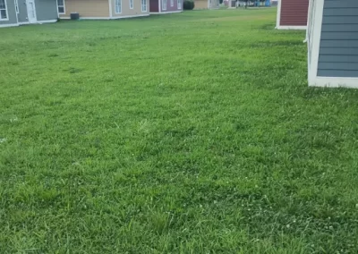 Lawn Mowing (4)