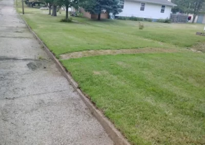 Lawn Mowing (5)