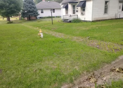 Lawn Mowing (6)