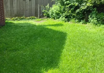 Lawn Mowing (7)