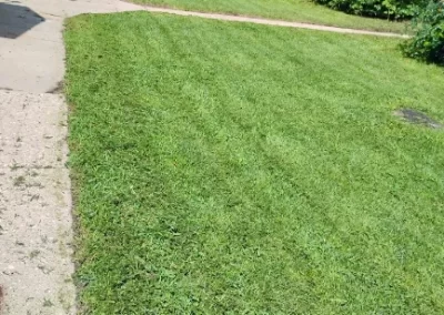 Lawn Mowing (8)