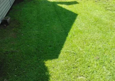 Lawn Mowing (9)