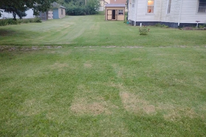 Lawn Mowing Lawn Mowing