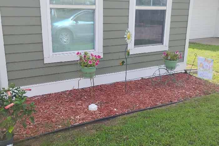 Mulching Mulching