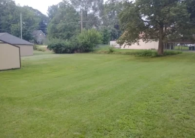 Professional Lawn Mowing