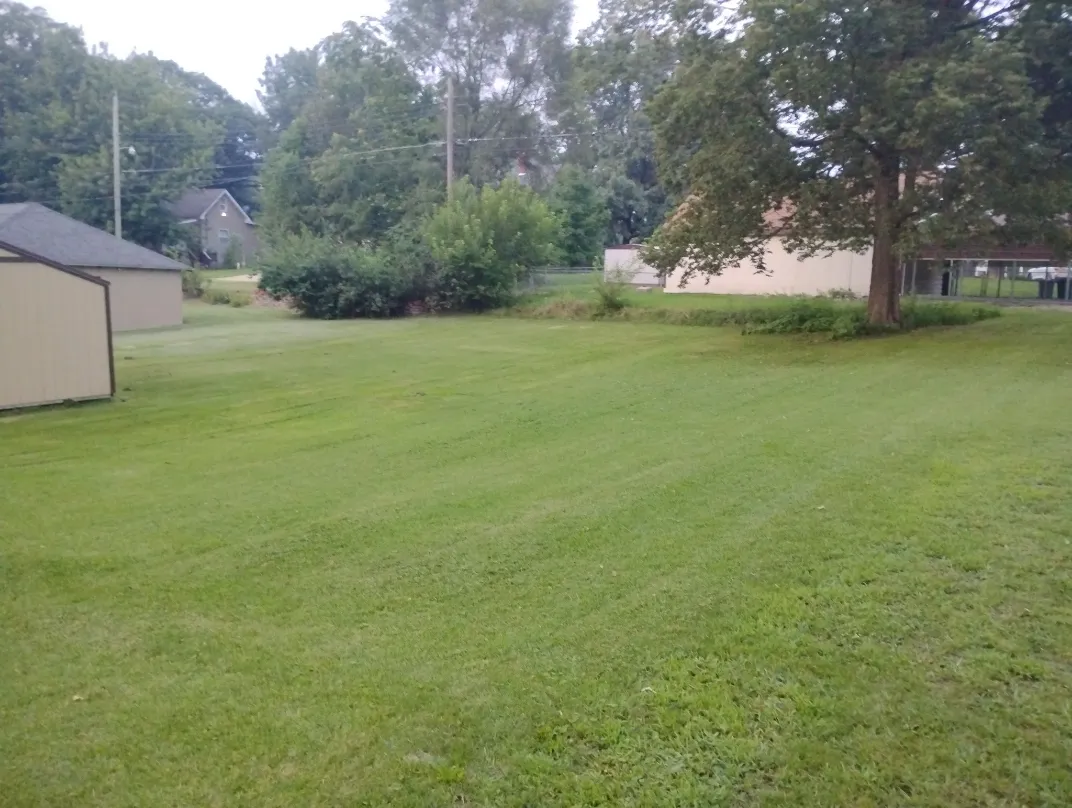Lawn Mowing