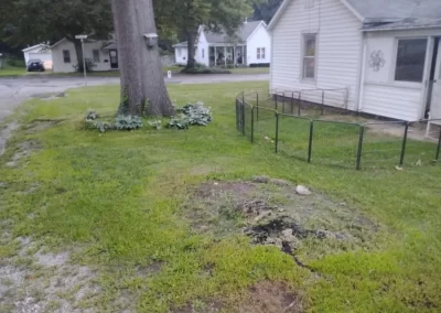 Proficient Lawn Maintenance