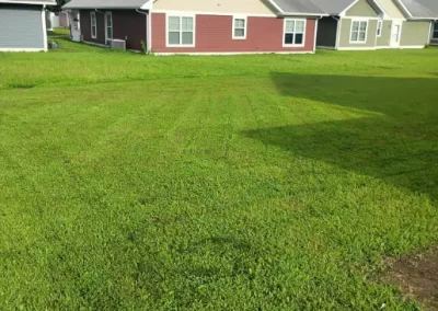 Quality Lawn Mowing