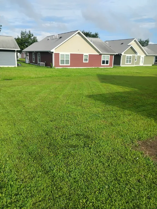 Lawn Mowing