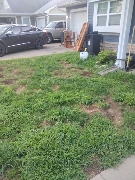 Lawn Mowing